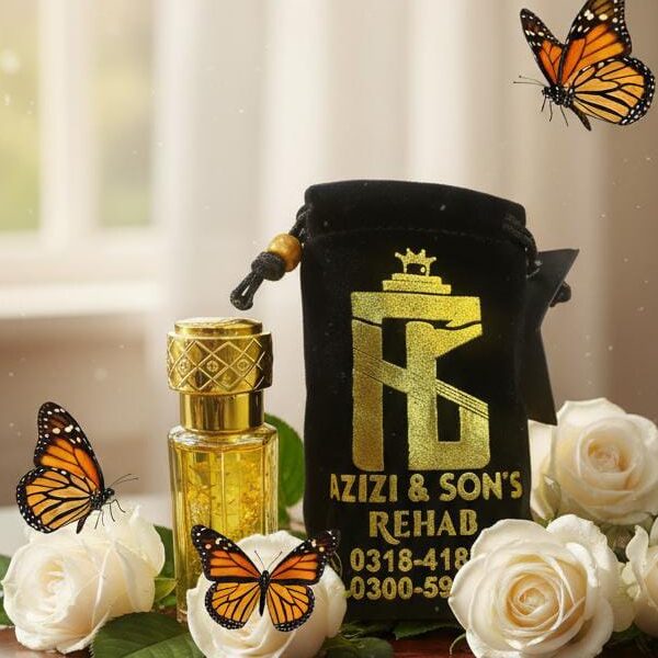 WhatsApp Image 2025-11-17 at 9.30.54 PM